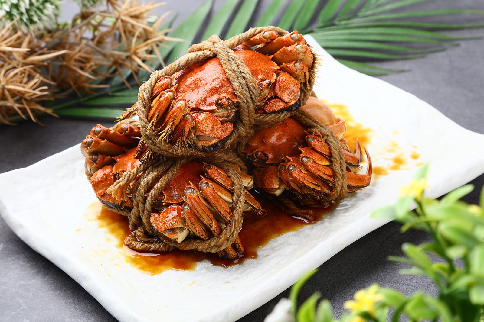 Mount-Huangshan-Drunken-Crab